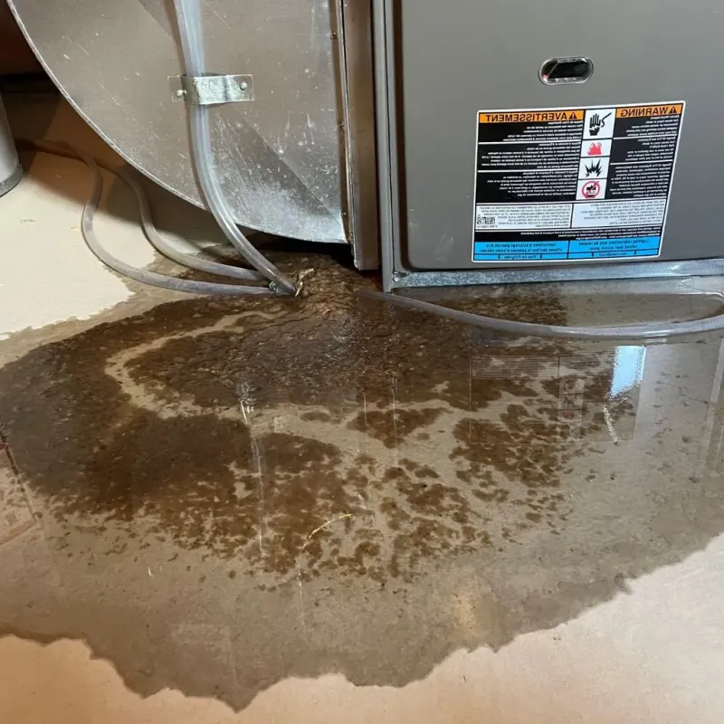 Pipe Burst and Leak Restoration in Fort Washakie, WY